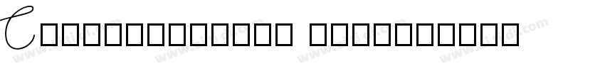 CANormalSerif ExtraB字体转换